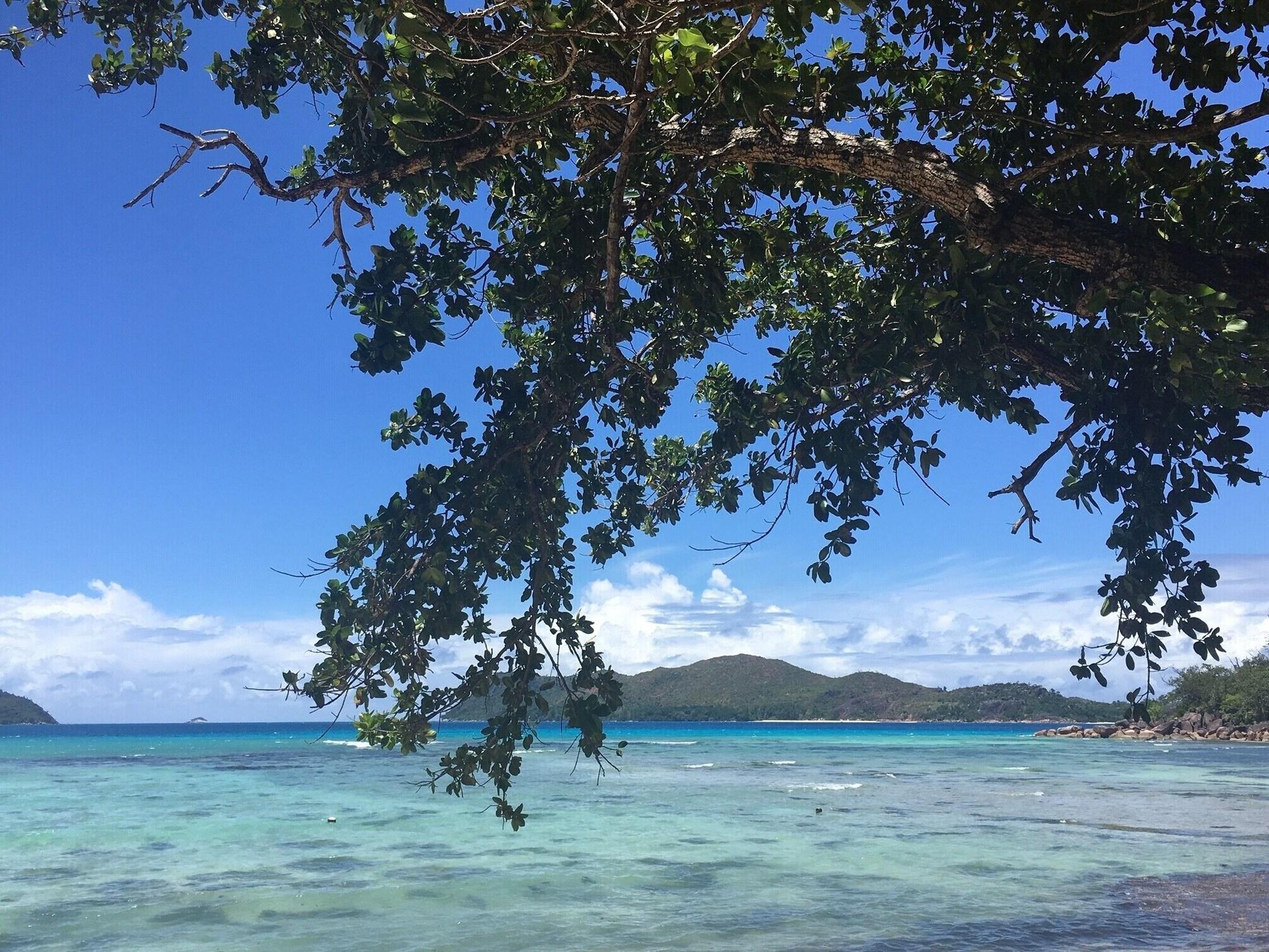 Le Domaine De La Reserve Anse Volbert Village Exteriér fotografie